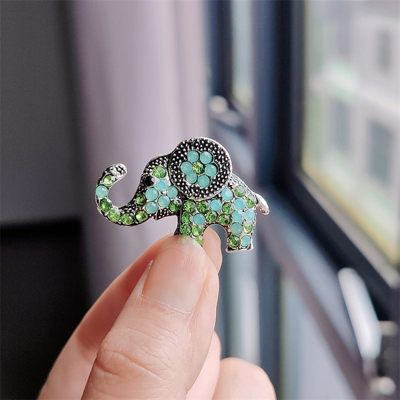 Fashionable brooch pin for women