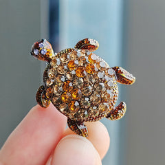 Colourful turtle brooch grouped display